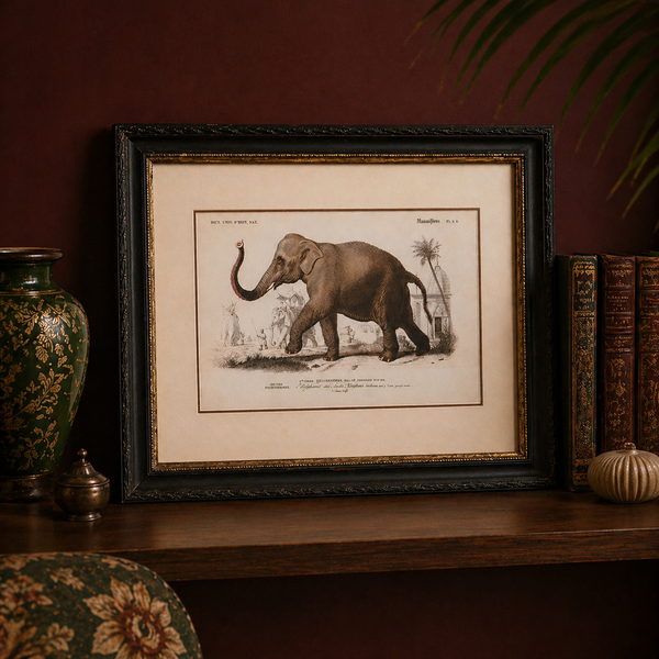 Elephant Print